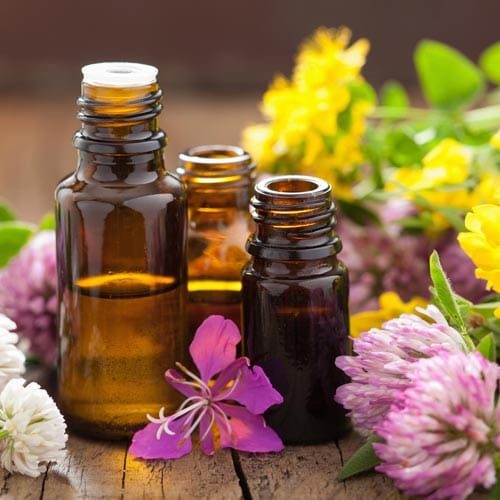 Chiropractic Waukesha WI Herbal Medicine Chiropractic Waukesha WI Herbal Medicine